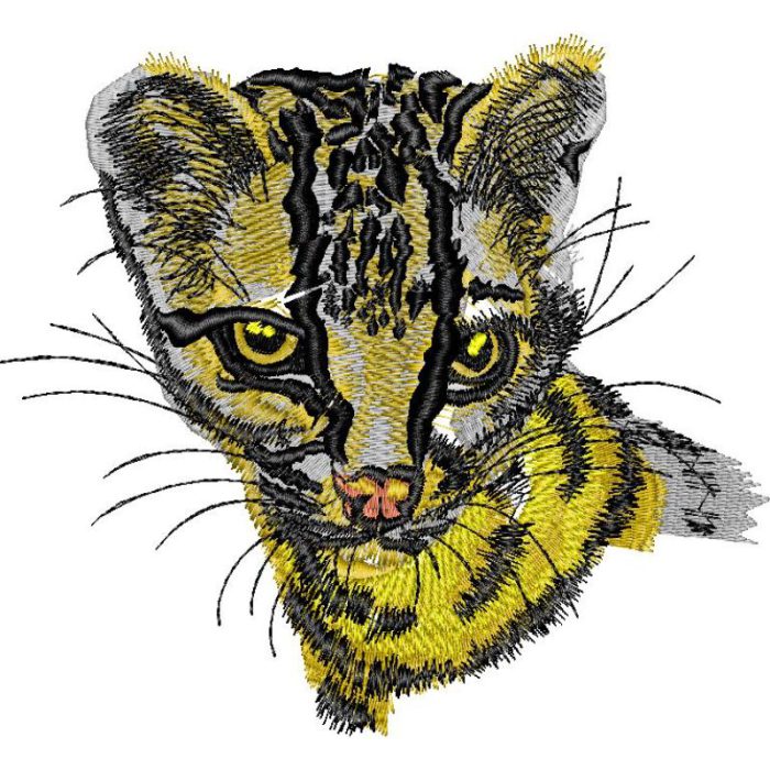 Ocelot - Image 1