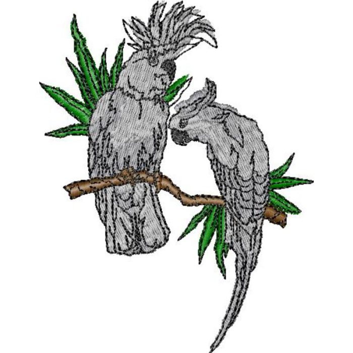 Parrots - Image 1