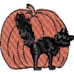 Halloween Cat