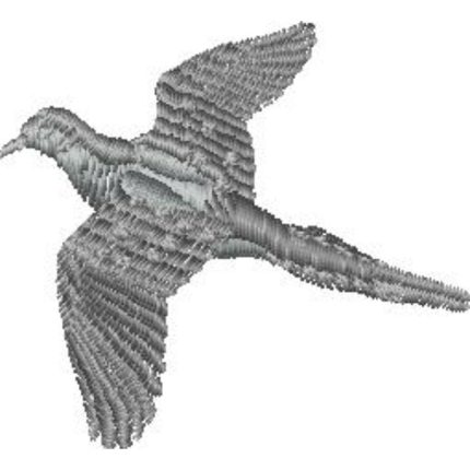 Hunting Dove