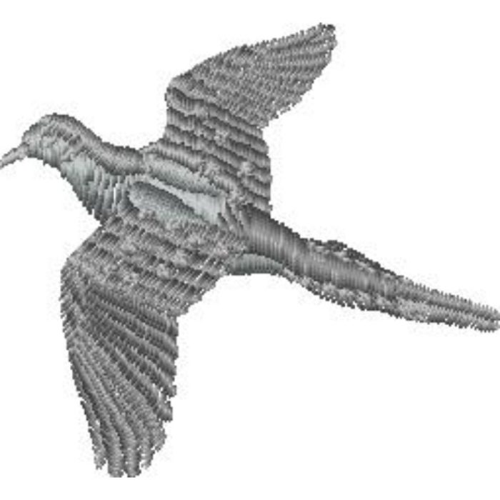 Hunting Dove - Image 1