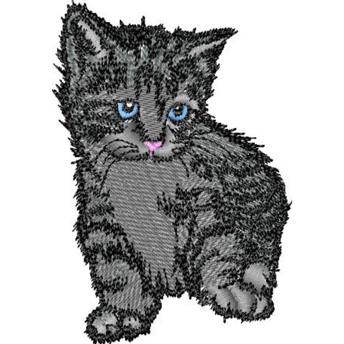 Kitten - Image 1