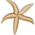 Sea Star