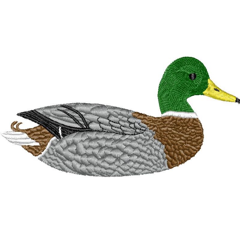 11mallardduck13031_l.jpg Mallard Duck - Image 1