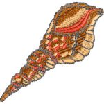 Sea Shell
