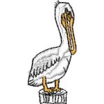 Pelican