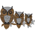 Owls On Branch