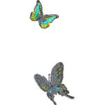 Two Butterflies