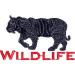 Wildlife Tiger