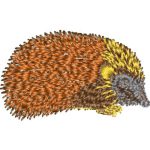 Hedgehog