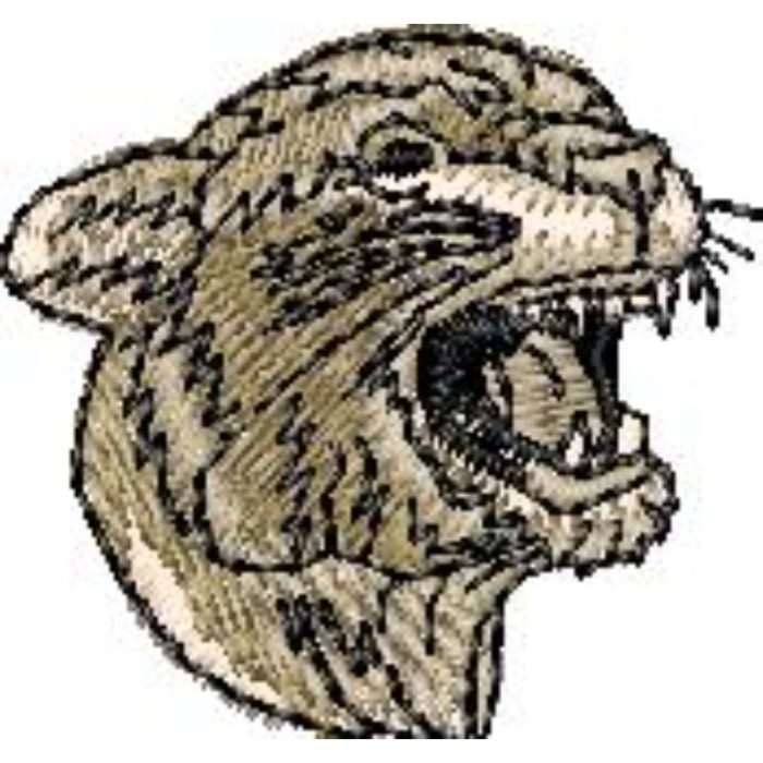 Panther - Image 1