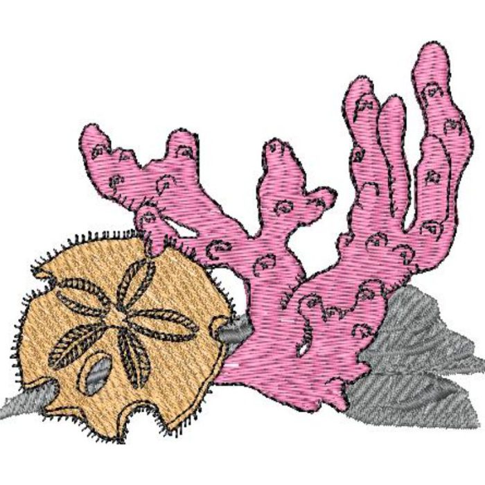 Sand Dollar - Image 1