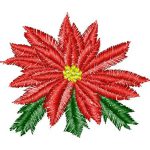 Poinsettia