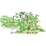 Birds in Nature Design SI2501