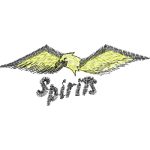 Eagle Casual Design SI0293