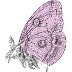 Butterfly Design SI0023