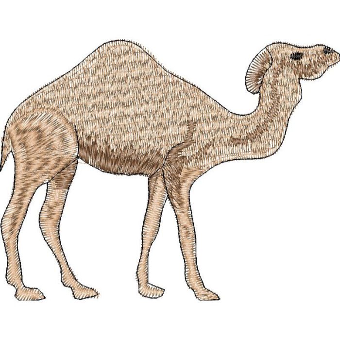 Camel Design SI0037 - Image 1