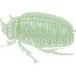 Beetle Design SI0059