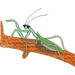 Mantis Design SI0062