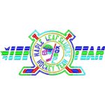 Hockey Team Casual Design SI0330