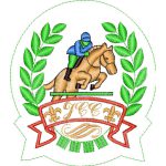 Horse Riding Design SI4317