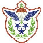 Aviation Emblems Design SI1231