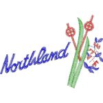 Northland Ski Design SI4362