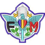 Eagles Emblems Design SI1240