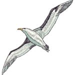 Seagull Design SI0137