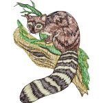 Raccoon Design SI0151