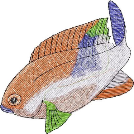 Fish Design SI0154