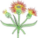 Flowers Design SI1573