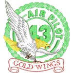 Gold Wings Air Pilot Emblems Design SI1262