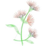 Flowers Design SI1618