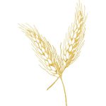 Flowers Design SI1697