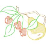 Fruits Design SI2122