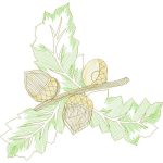 Acorns Design SI2128