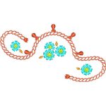 Flowers Design SI1861