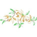 Flowers Design SI1912