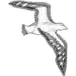 Seagull Design SI0206