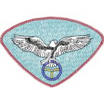 Eagle Emblems Design SI1402