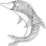 Dolphin Design SI0217