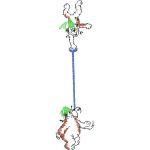 Bears Children Design SI0825