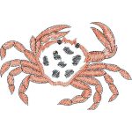 Crab Design SI0222