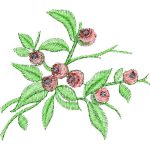 Fruits Design SI2168