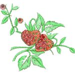 Fruits Design SI2169