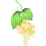 Grapes Design SI2200