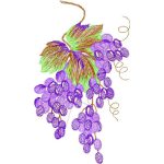 Grapes Design SI2201