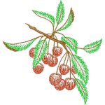 Cherries Design SI2204