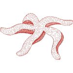 Starfish Design SI0258
